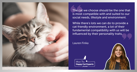 Important Cat Personality Traits: A Happy Cat Expert Explains!