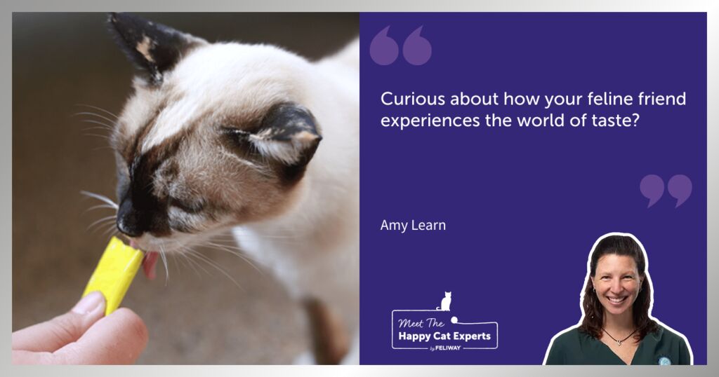 How Cats Experience Taste