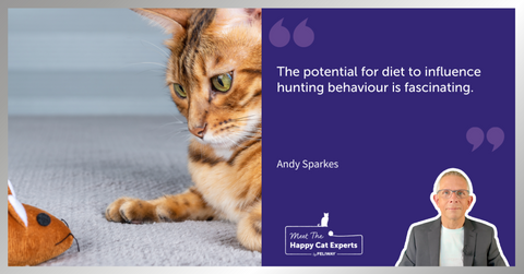 Bengal cat watching a toy mouse on the carpet.