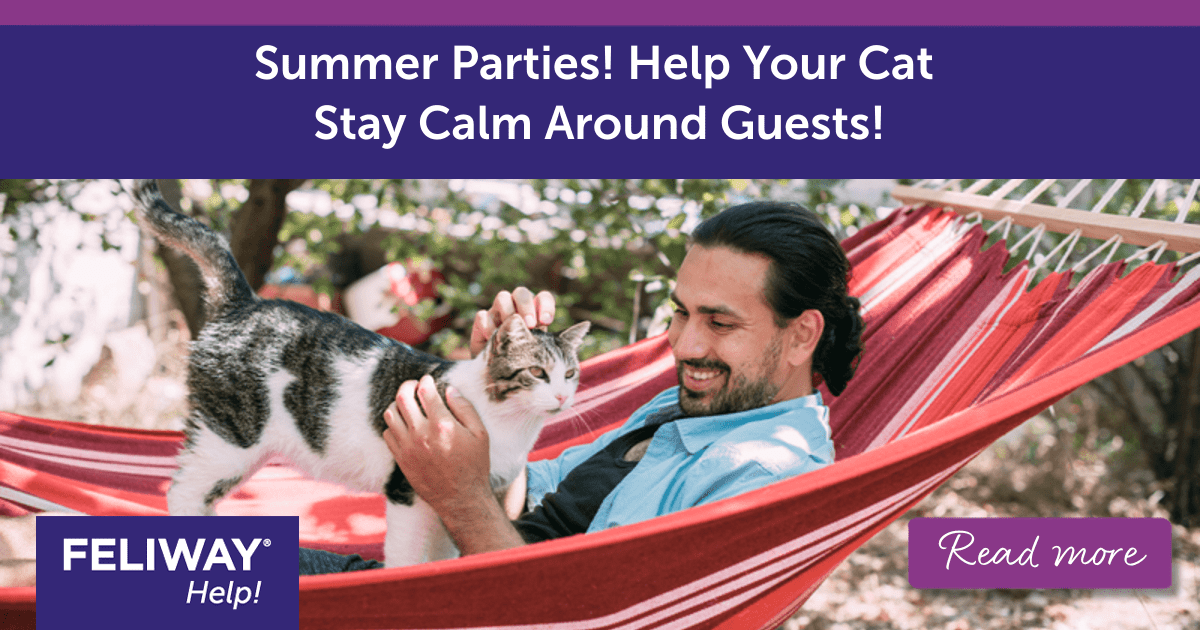 Summer Parties! Help Your Cat Stay Calm Around Guests!