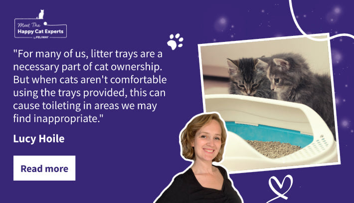 Happy Cat Expert: 8 Cat Litter Tray Tips