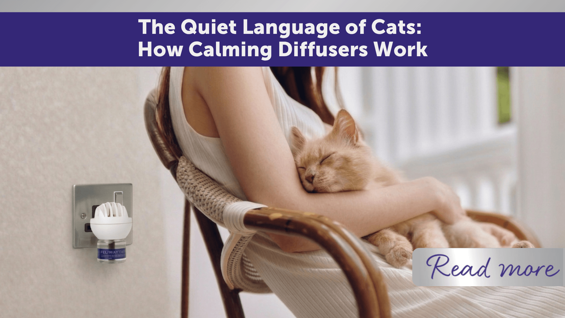 The Quiet Language of Cats: How Cat Calming Diffusers Work and Why Placement Matters
