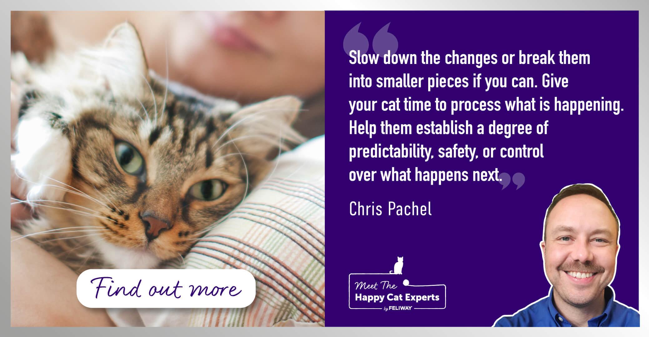 Transitions Are Hard on Cats: Happy Cat Expert Explains How to Help