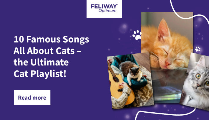 10 Famous Songs All About Cats – the Ultimate Cat Playlist | FELIWAY