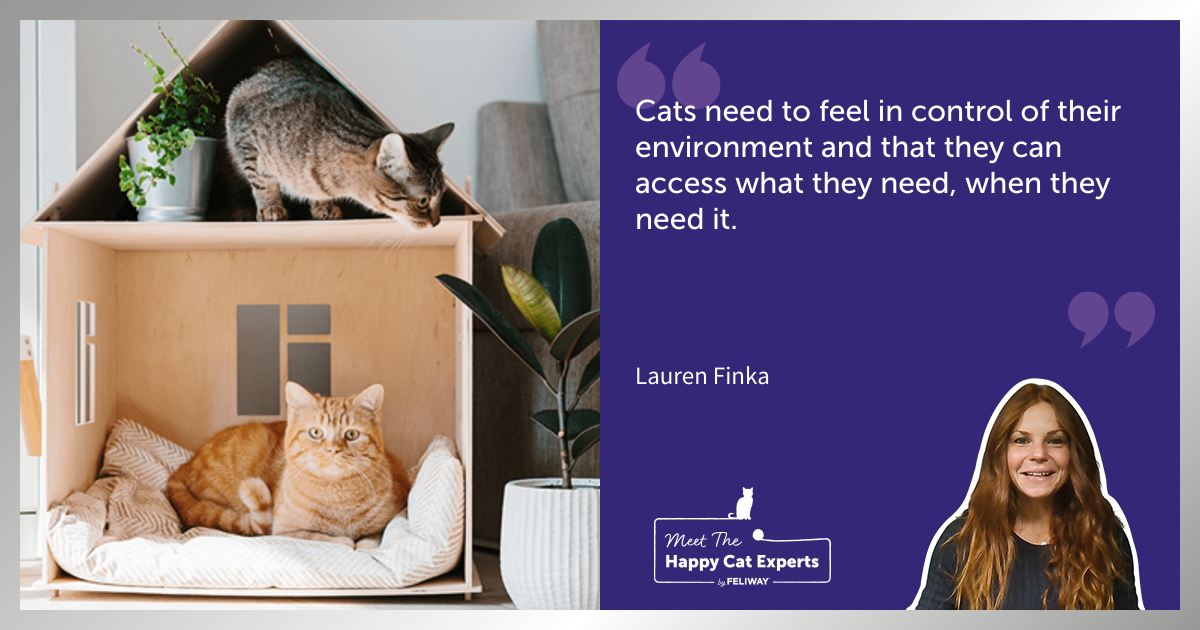 Happy Cat Expert - Create The Perfect Home Environment For Your Cat