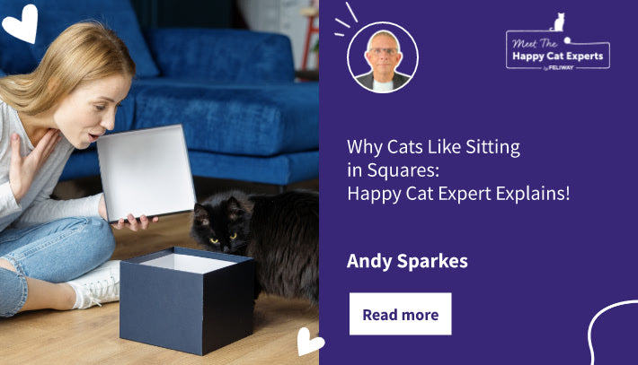 Woman opening a small cardboard box while a black cat inspects.