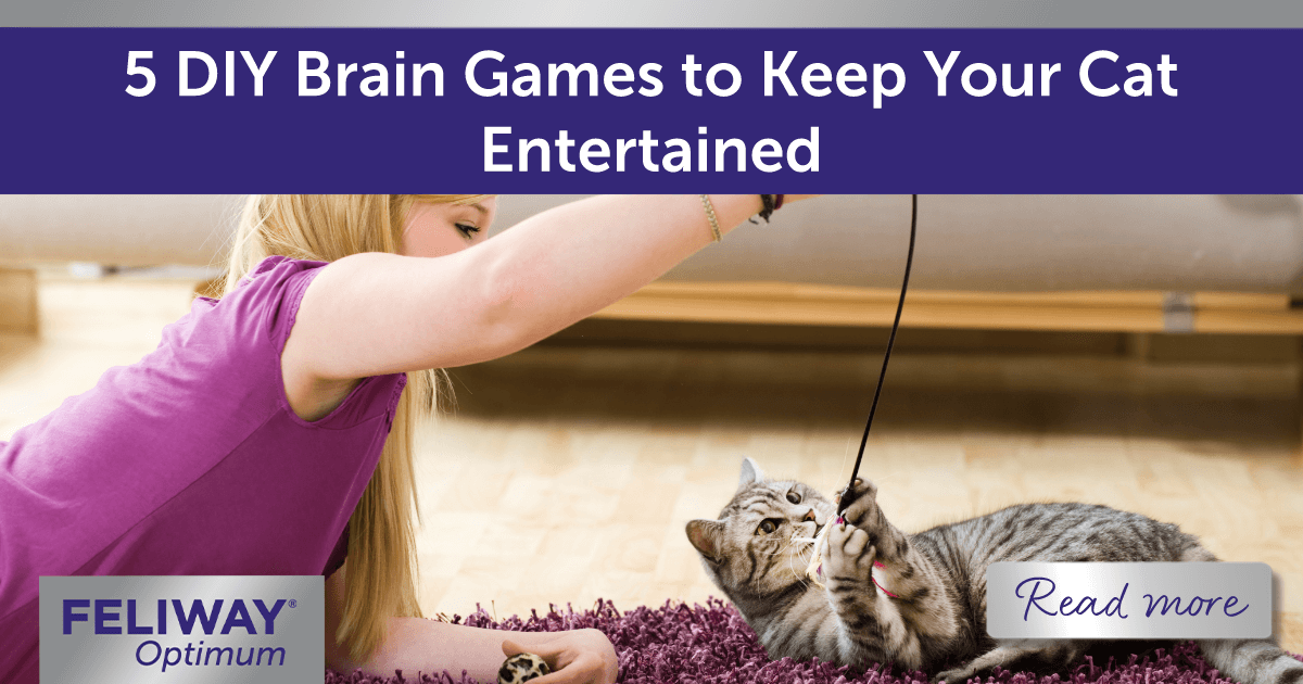 Image Alt-text: Girl and cat playing together with a DIY rod toy.