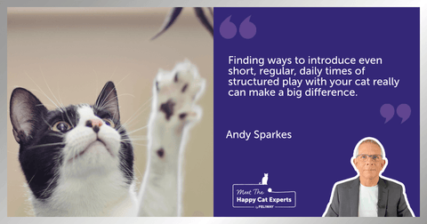 A person using a wand toy to play with their black and white cat that is reaching up to catch the toy’s feather.