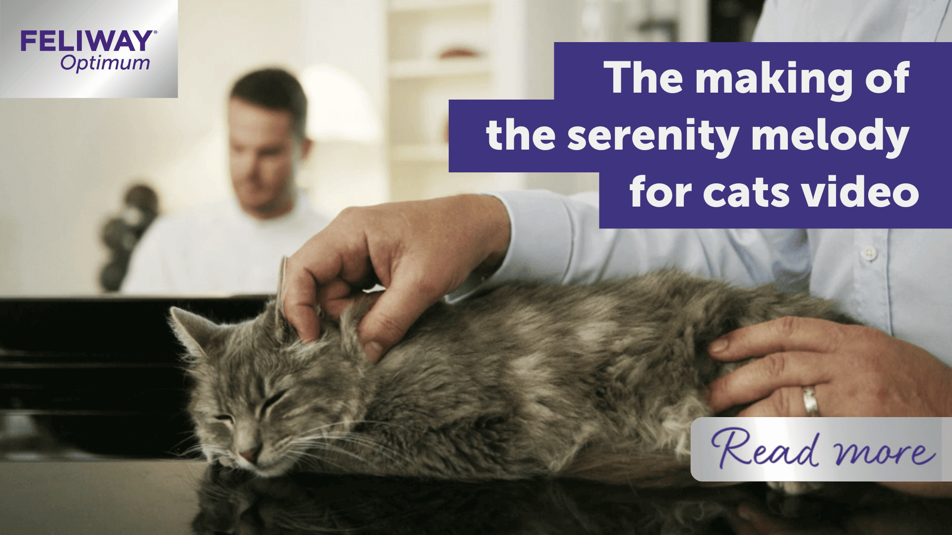 The making of the FELIWAY Optimum, the serenity melody for cats video