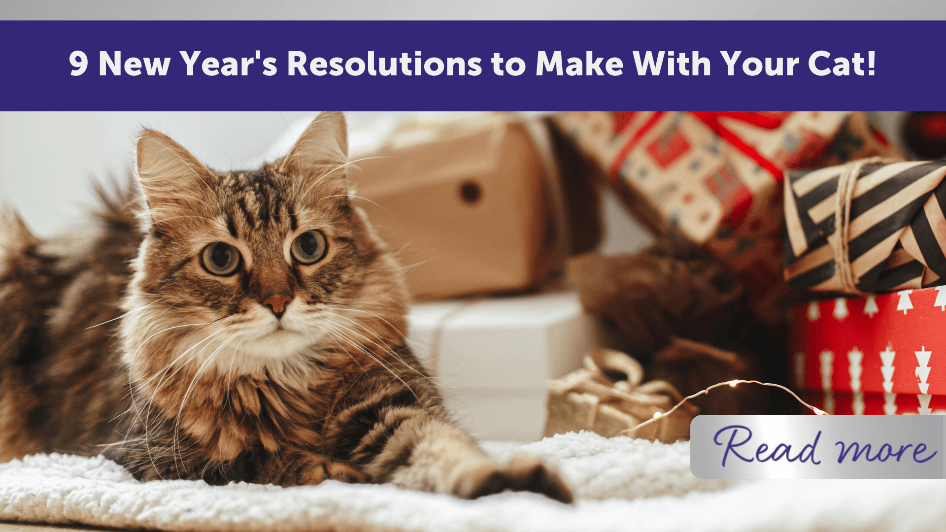 New Year Resolutions Blog Banner