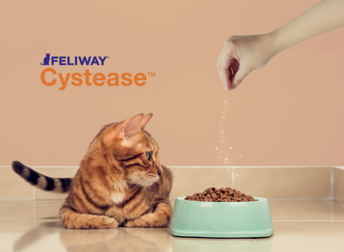 FELIWAY Cystease | Urinary Tract Supplement for Cats