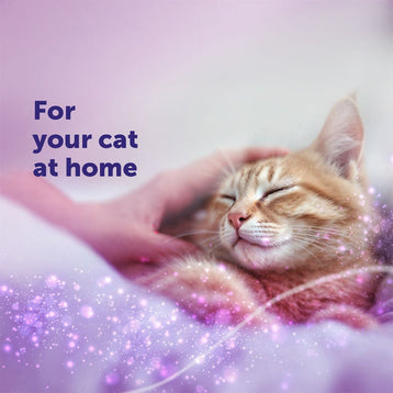 FELIWAY Classic Diffuser