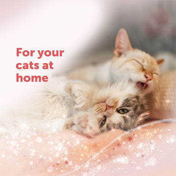 FELIWAY Friends Diffuser