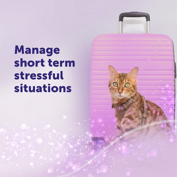 FELIWAY Help! Pack of 3 cartridges