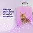 FELIWAY Help!