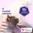 FELIWAY Help!