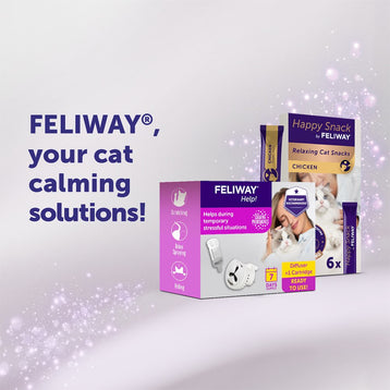 FELIWAY Help!
