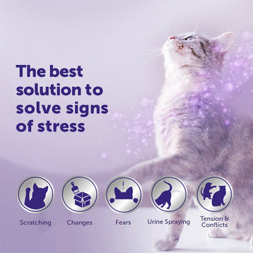 FELIWAY Optimum Starter Kit