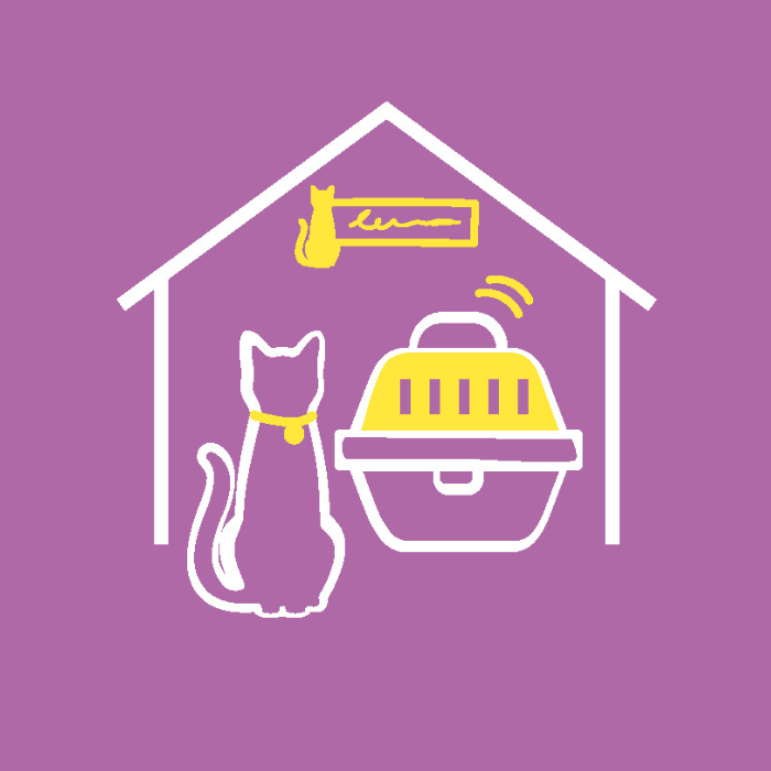 What to Do If Your Cat is Not Eating and Hiding FELIWAY