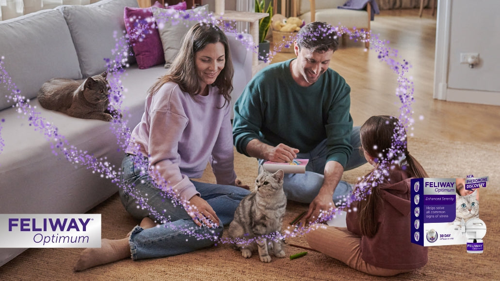 Load video: Feliway Optimum pack presentation