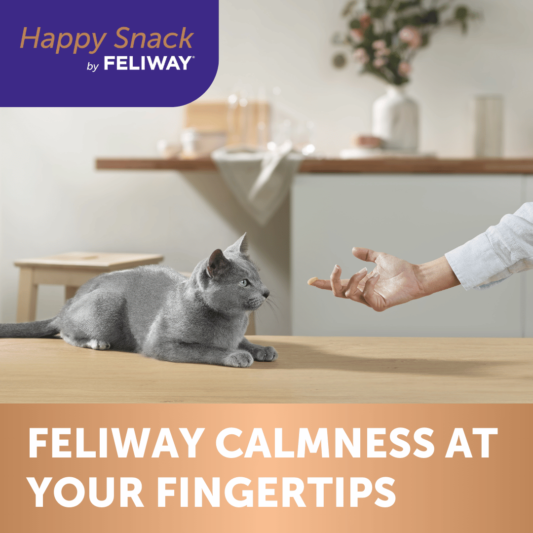 Feliway Feliway Happy Snack Calming Lickable Cat Treat | Top Dogs