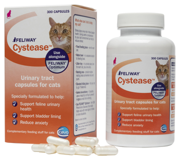 Feliway cystease 300 capsules sales