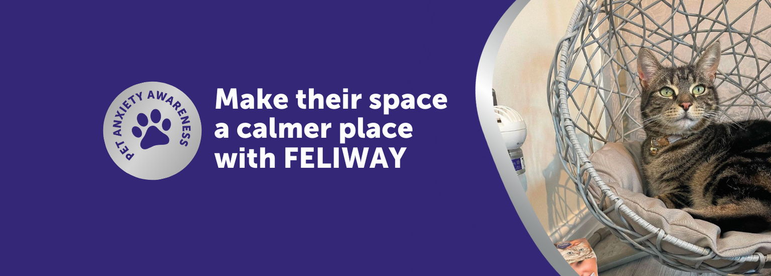 Feliway promo sales