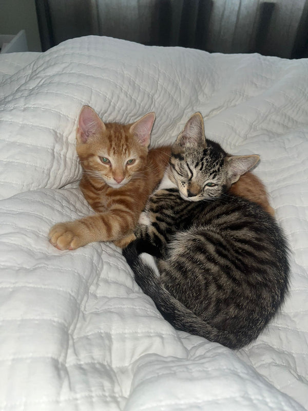 Ronnie & Reggie