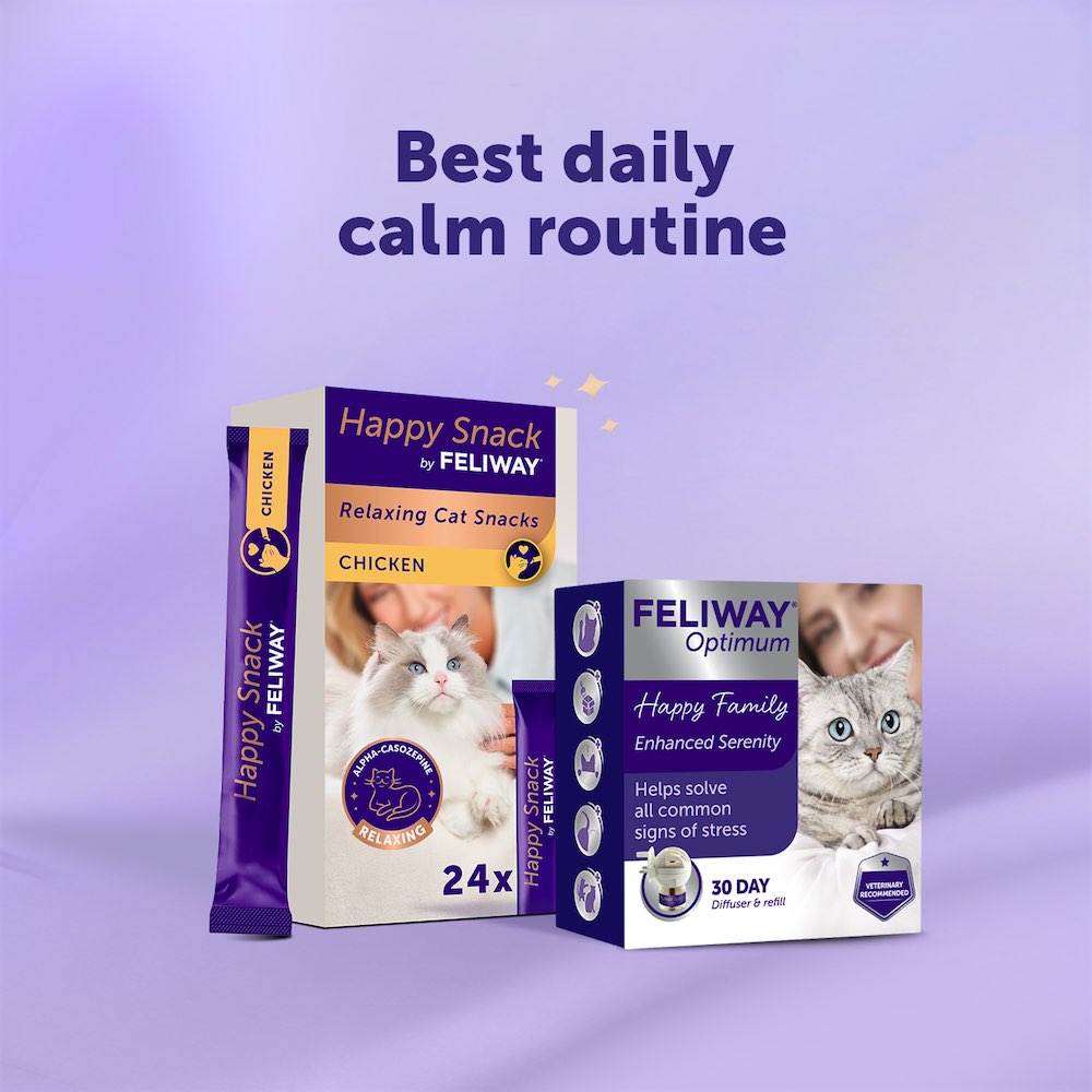 The Ultimate Well-being routine - Chicken 24 sticks