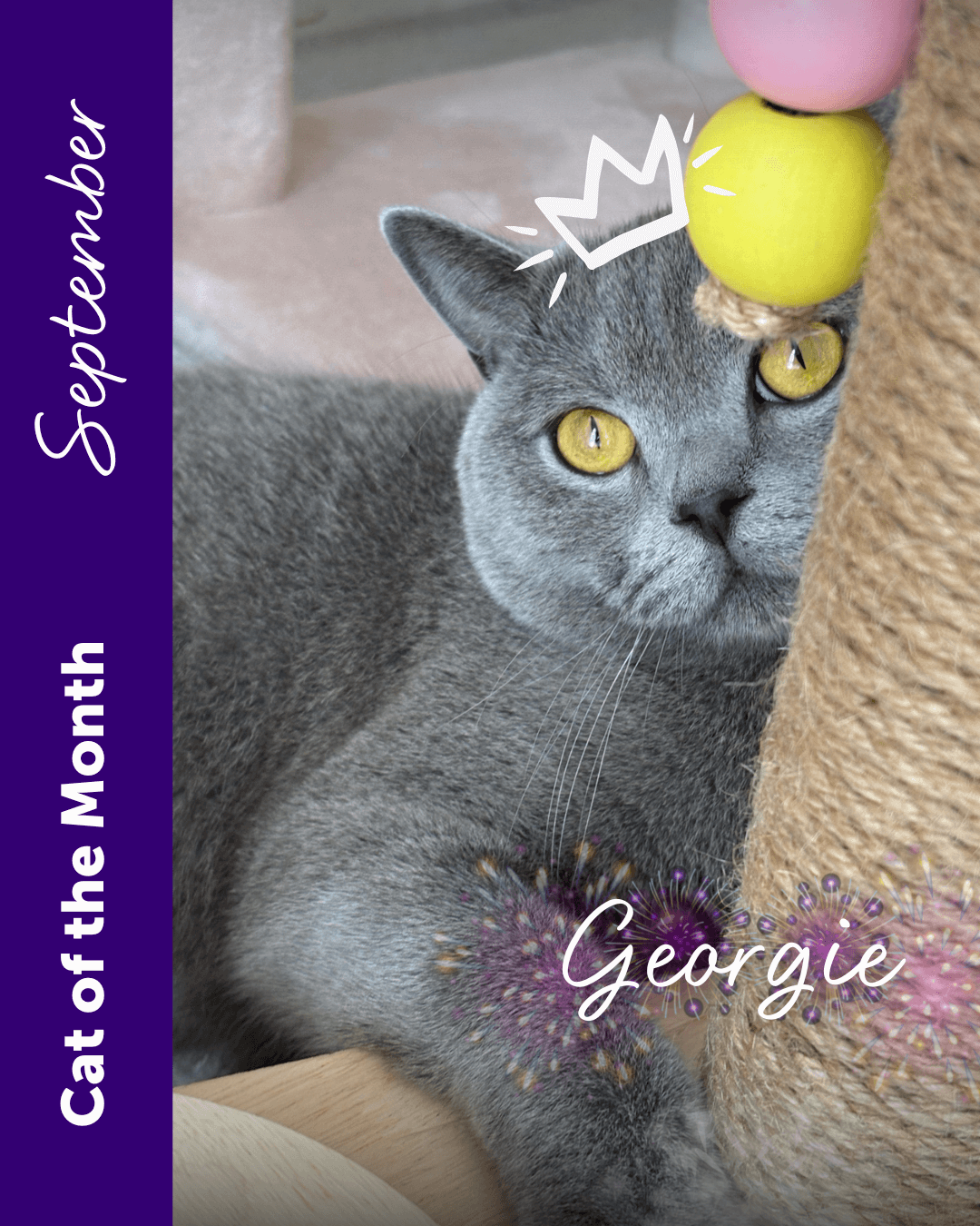 Translation missing: en.sections.video.load_video