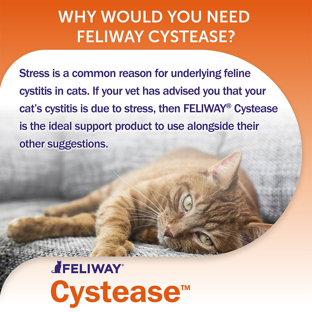 FELIWAY Cystease | Urinary Tract Supplement for Cats