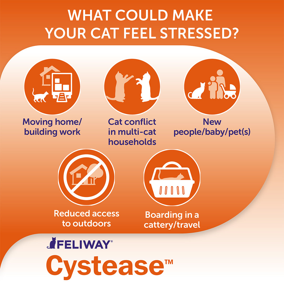 FELIWAY Cystease | Urinary Tract Supplement for Cats