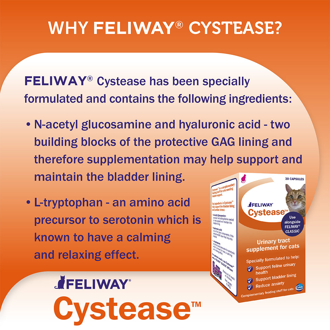 Cystease Diffuser FELIWAY Cystease | Urinary Tract Supplement for Cats
