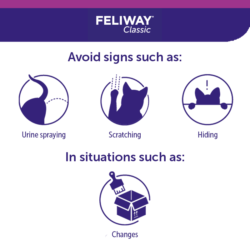 Feliway to stop sales scratching