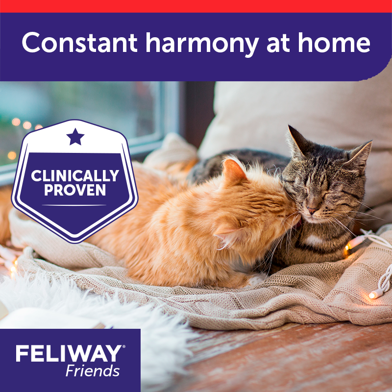 FELIWAY Friends Diffuser