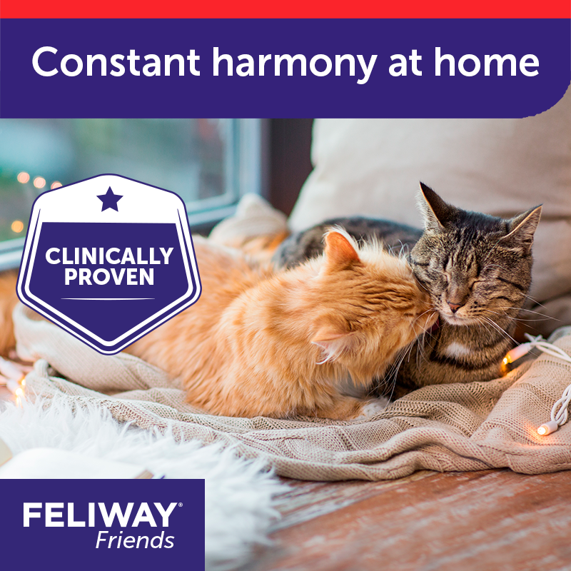 FELIWAY Friends Refill | Calming Pheromone Diffuser