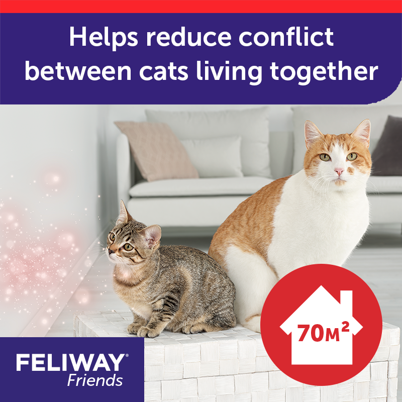 FELIWAY Friends Diffuser