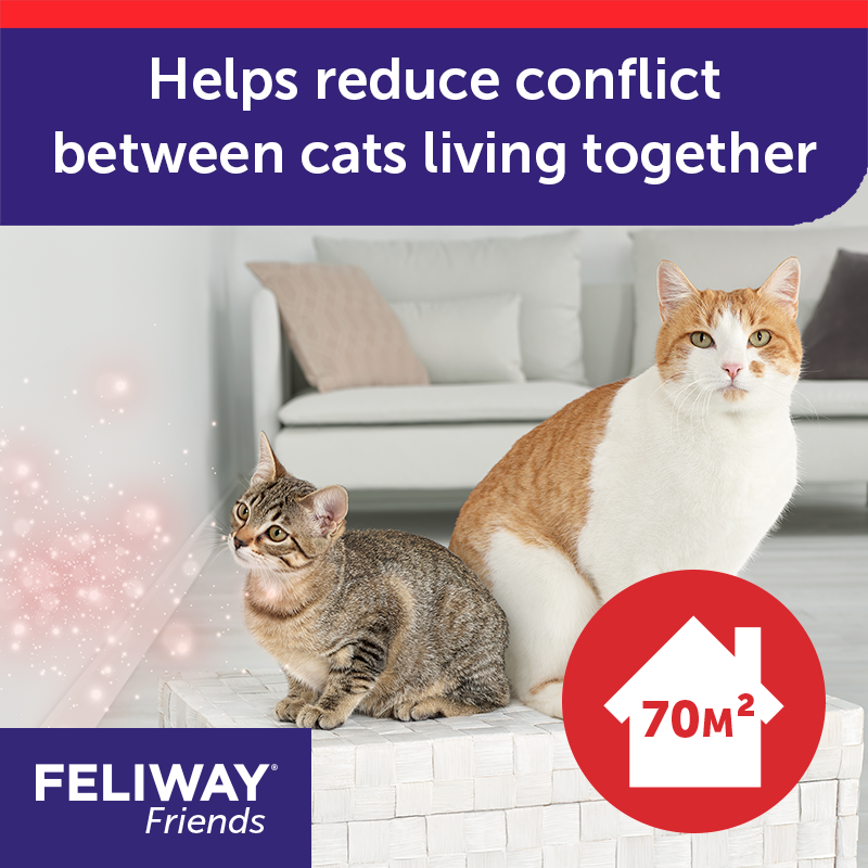 FELIWAY Friends Refill