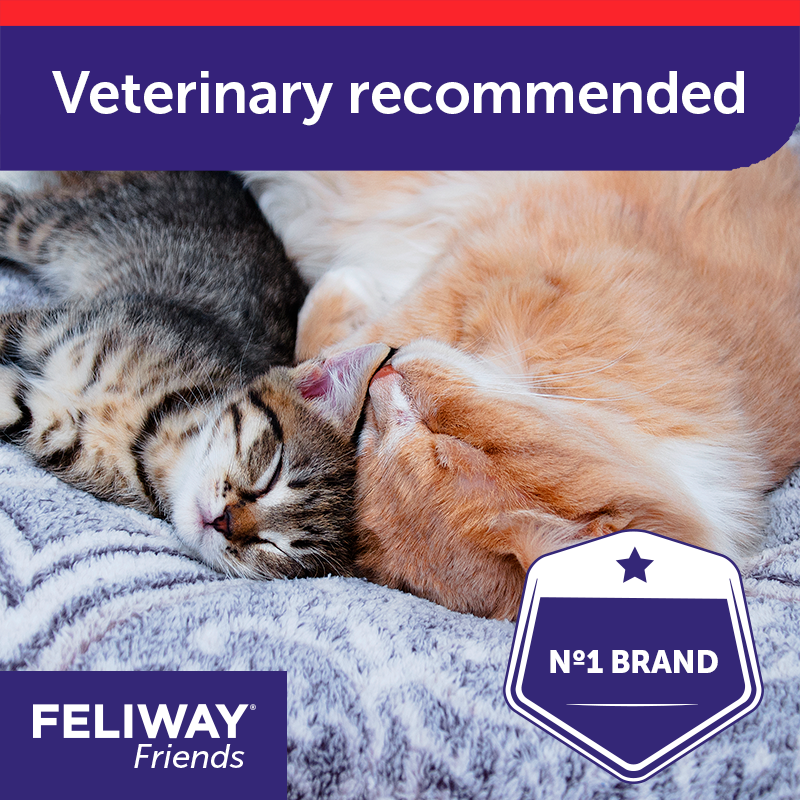 FELIWAY Friends Refill