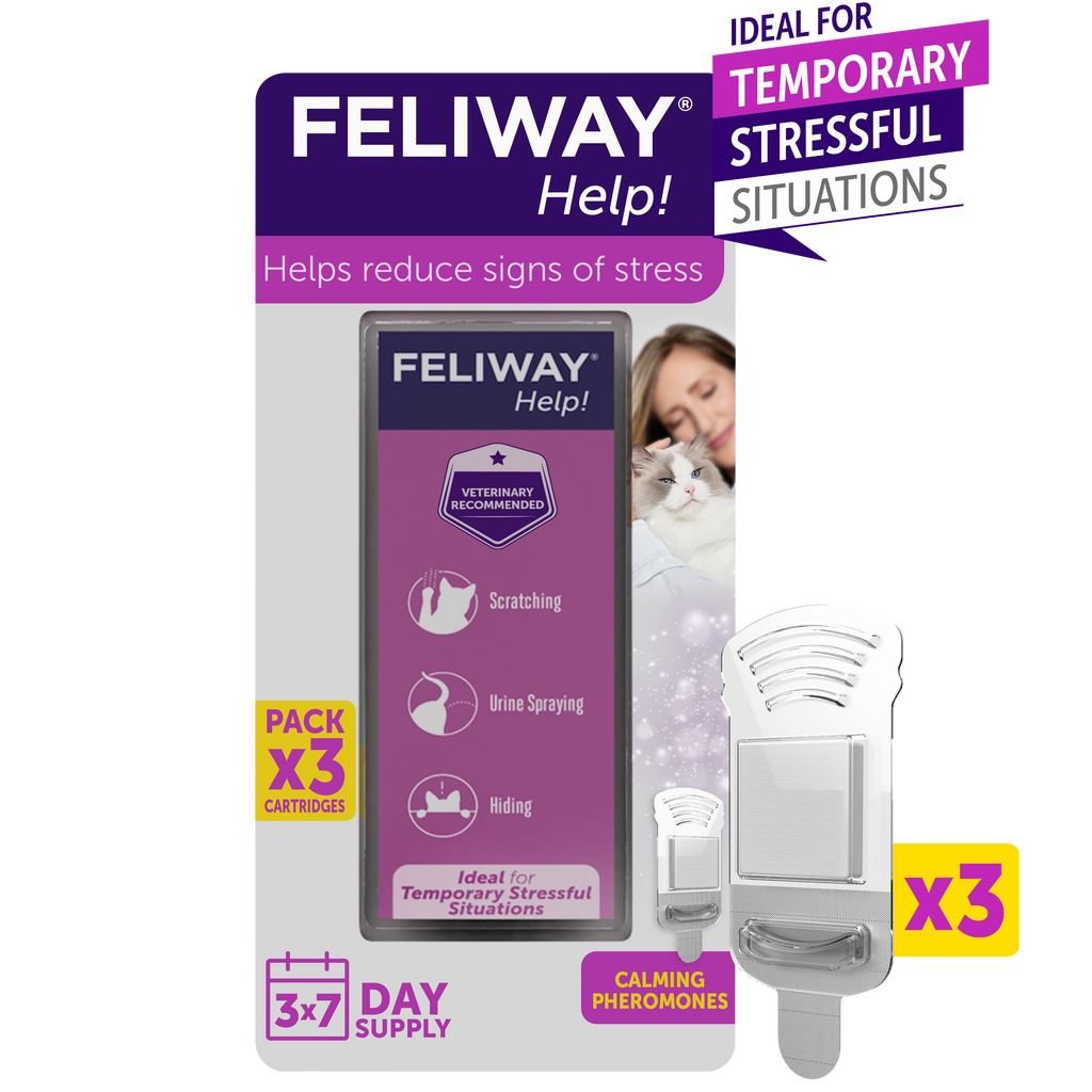 Feliway diffuser on sale canada