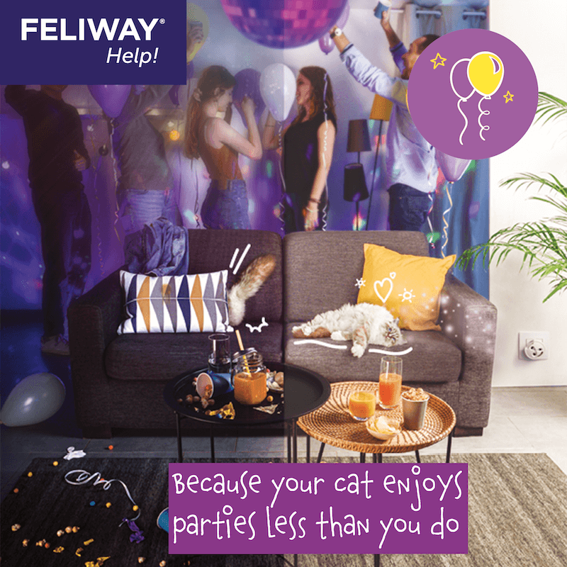 Picture of FELIWAY Help! | 7 Days Cat Stress Relief | Cat Pheromones
