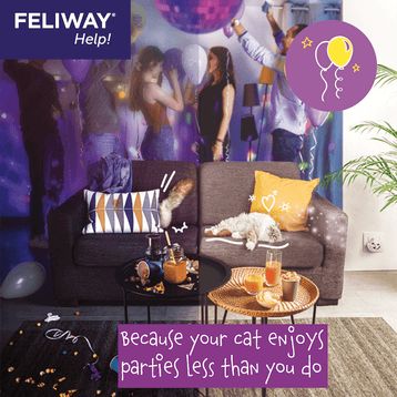 FELIWAY Help!